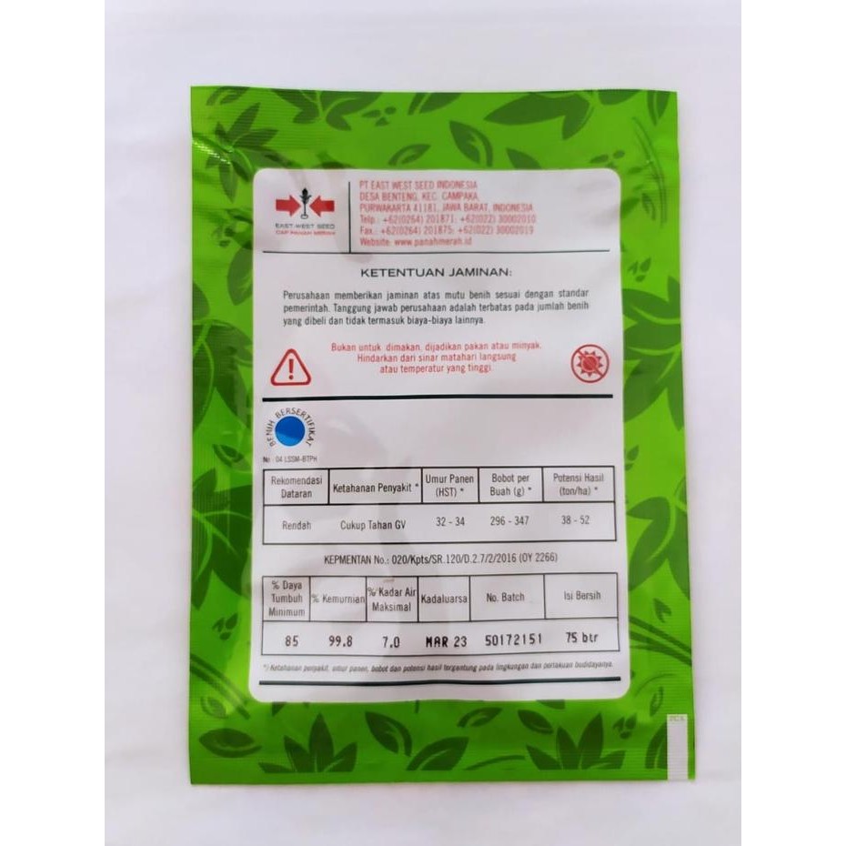 Benih Bibit Gambas Oyong Tahan Virus Anggun Tavi F1