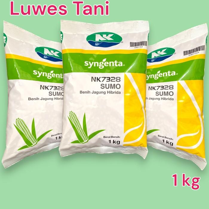 Benih Jagung Nk 7328 Sumo 1 Kg Jagung Hibrida