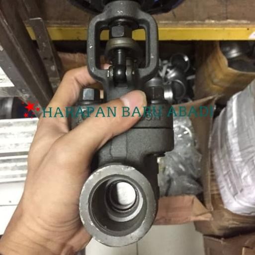 GATE VALVE CARBON STEEL CLASS 800 DRAT 1" INCH