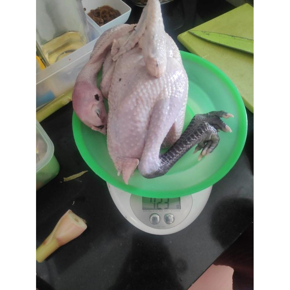 

(Expert) AYAM KAMPUNG 720 - 760 gr (Paket Silver)