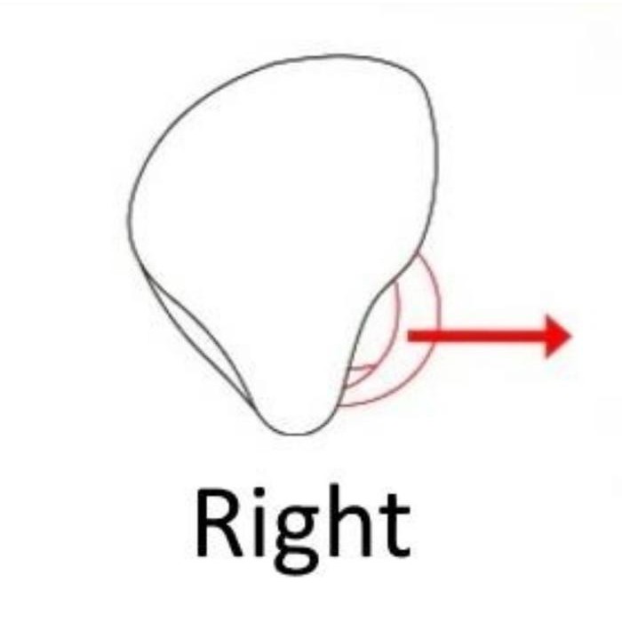 Kz Zsn Kz Zsn Pro Replacement Satuan Earphone Kiri Dan Kanan