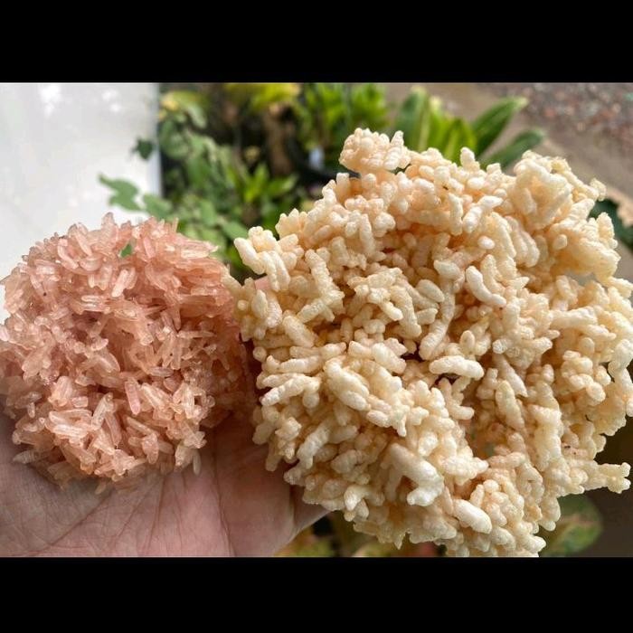 

[ Rasa Mix 500gr ] Rengginang Rasa Ketan Hitam, Bawang Putih & Terasi Udang Food