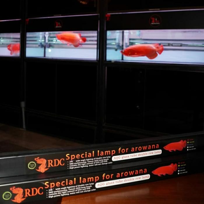 Lampu Led Rdc Arwana Super Red ( 113Cm )