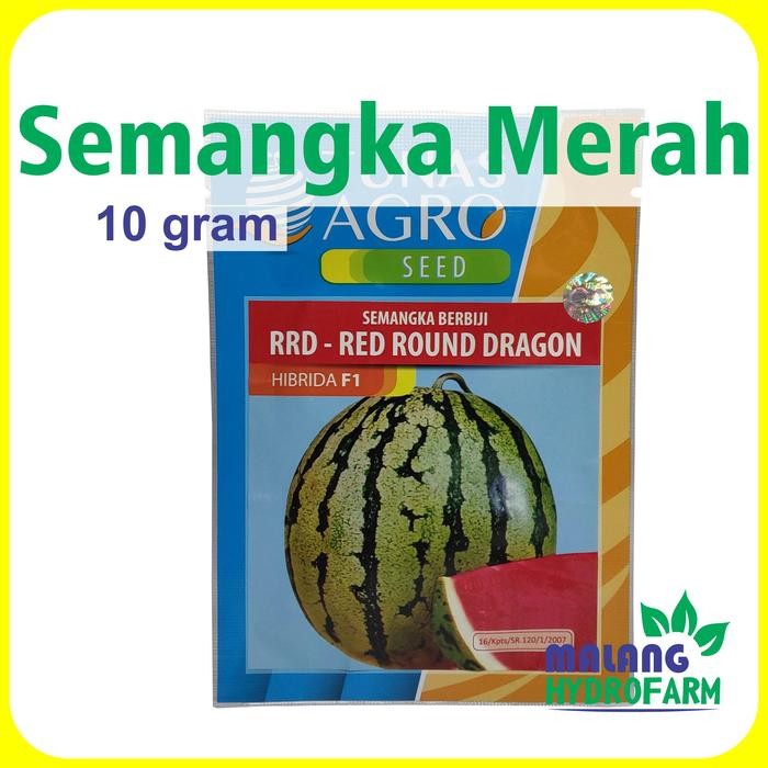 Tn Benih Semangka Merah Rrd Red Round Dragon F1 10 Gram Tunas Agro Bibit Biji Unggul Buah Bulat Bali