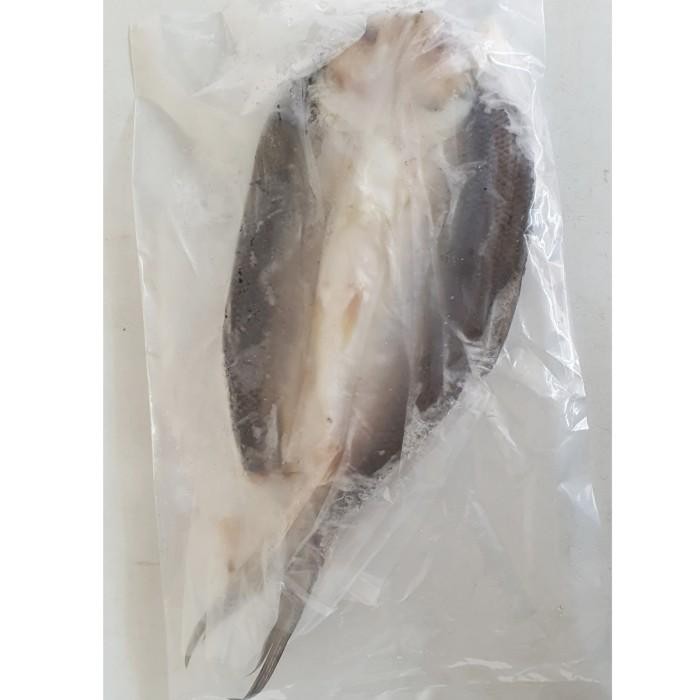 

(Expert) IKAN BANDENG TANPA DURI 350G IKAN BANDENG CABUT DURI HALAL FROZEN