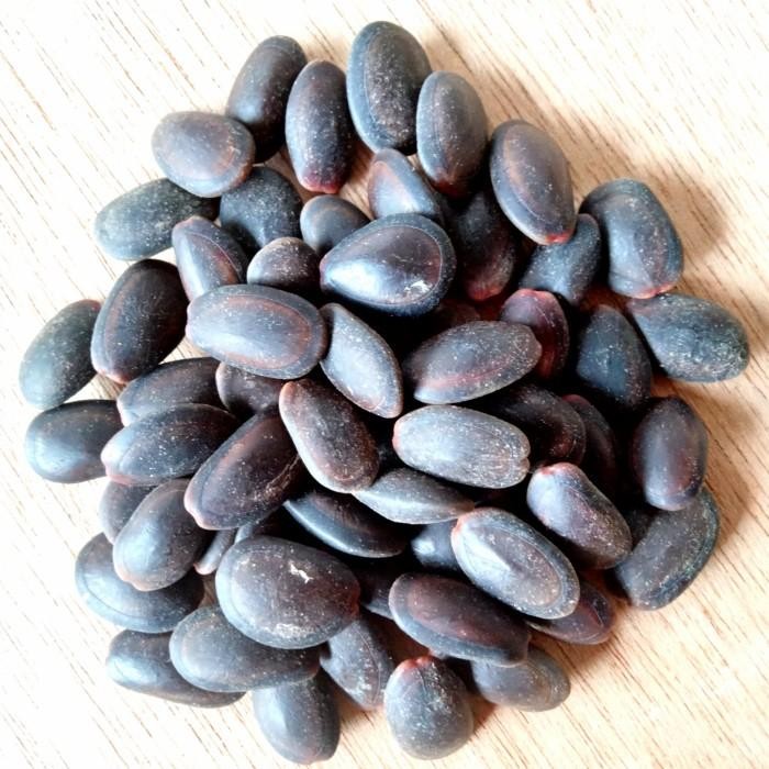 

(Expert) Biji Kedawung 1kg Kedaung Kwalitas Premium
