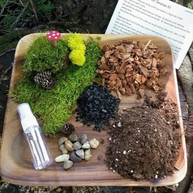 TERRARIUM KIT TANPA WADAH TERRARIUM TANAMAN HIDUPTERRARIUM KIT TANPA