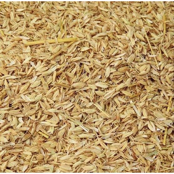 Sekam padi / gabah mentah karungan