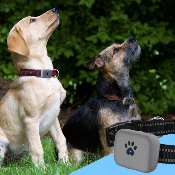 Gps tracker for Pets Dog Tracking Waterproof Collar Gps Gps tracker for Animals
