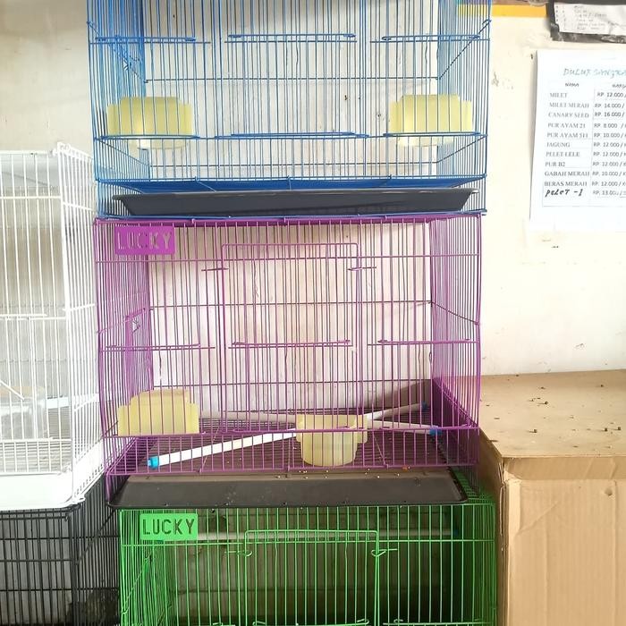 KANDANG TERNAK LB KANDANG KOTAK LB KANDANG SG KANDANG LOVEBIRD