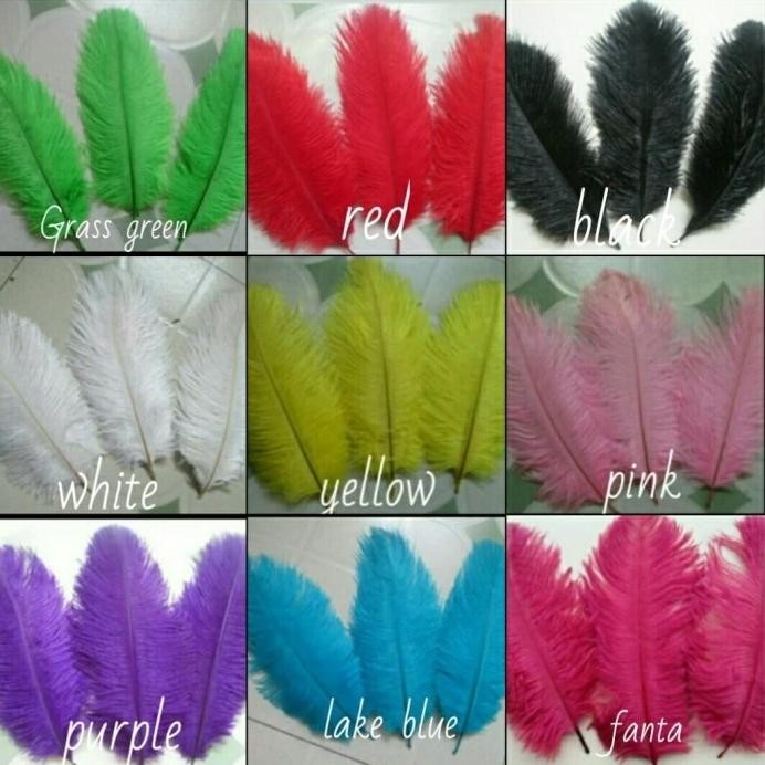 

Bulu Kasuari Kecil. Feathers Ostrich