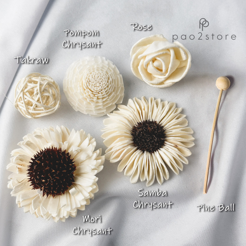 [ECER] Bunga Reed Diffuser - Sola Flower - Kering / Dried Klobot Wood - Ornamen / Hiasan / Aksesoris