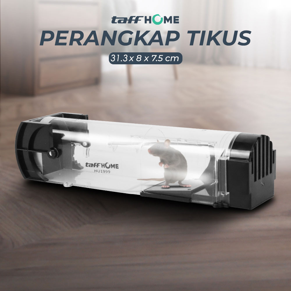 Perangkap Tikus Kandang Plastik, Jebakan Tanpa Racun & Tidak Menyiksa + Aman & Efektif 31cm