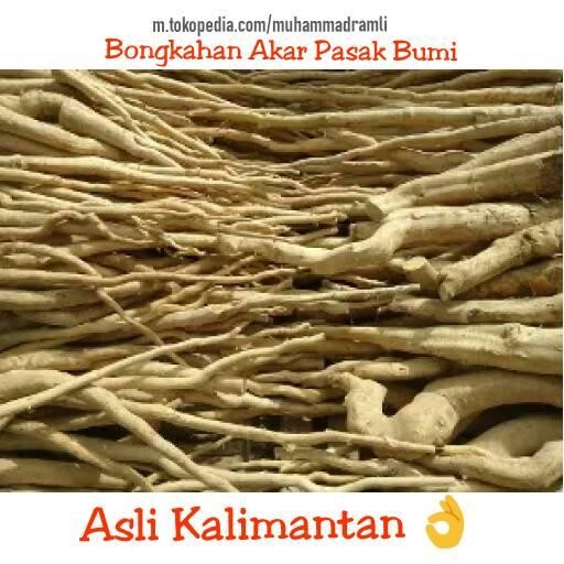 New Pasak-Bumi Bongkahan,Akar Pasak-Bumi Kiloan,Herbal Pasak-Bumi,Ramuan High Quality