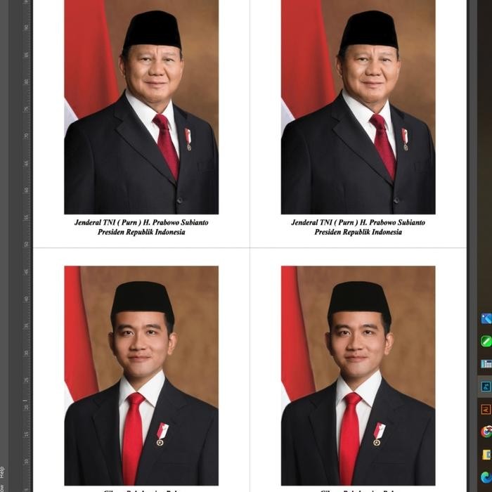 Foto Presiden & Wakil Presiden ( Hanya Foto)