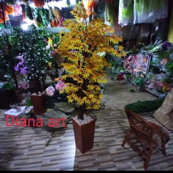 Pohon Maple#Maple Oren#Maple Kuning#Bohon Bonsai#Daun Anggur#