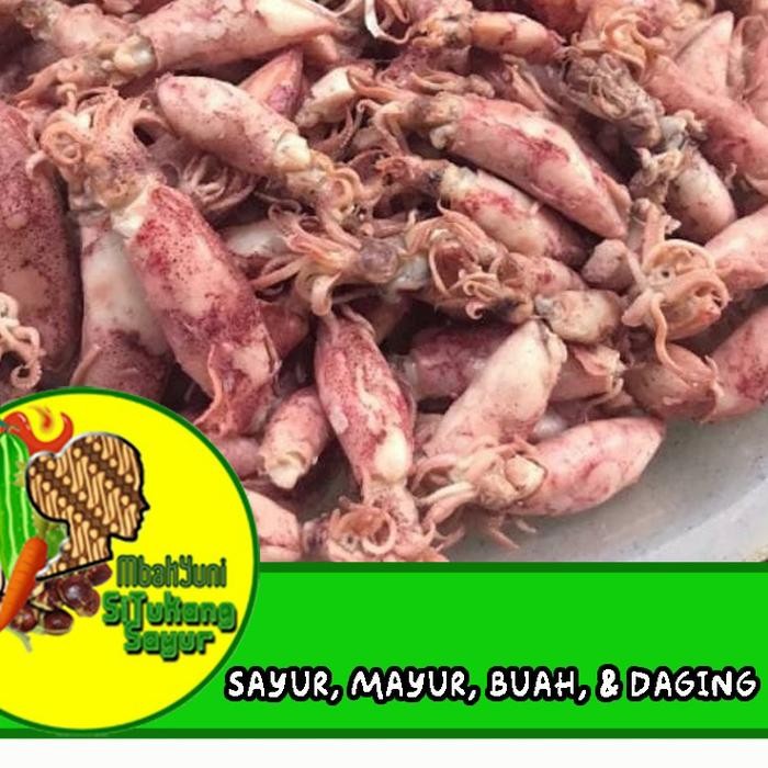 

IOI2 Cumi Asin 250Gr