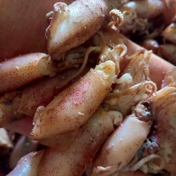 

3YC3 Ikan Cumi Asin Kering/Sotong Per 250Gr