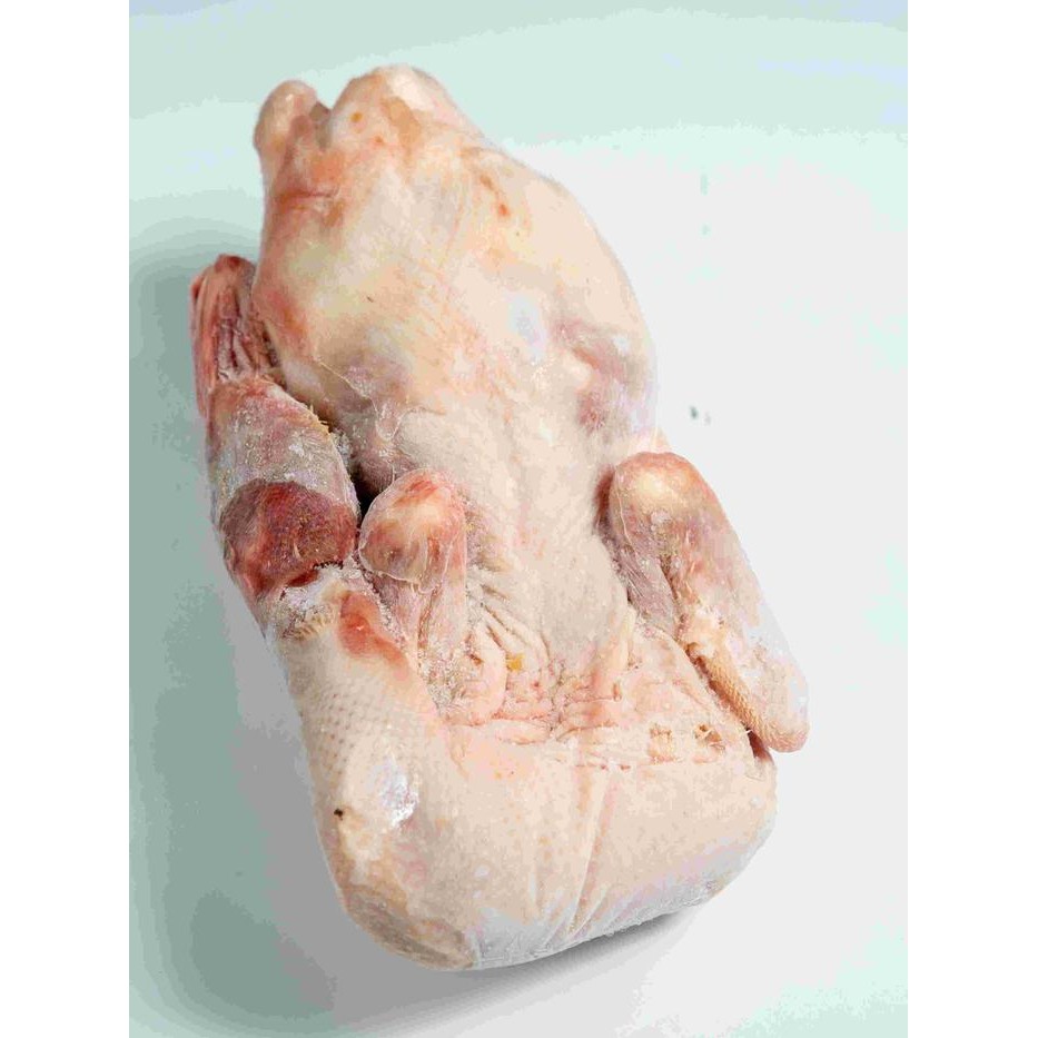 

3YC3 Bebek Peking Merk Cp Ukuran 1,4Kg Frozen/Bebek Murah/Bebek Peking/Daging Bebek