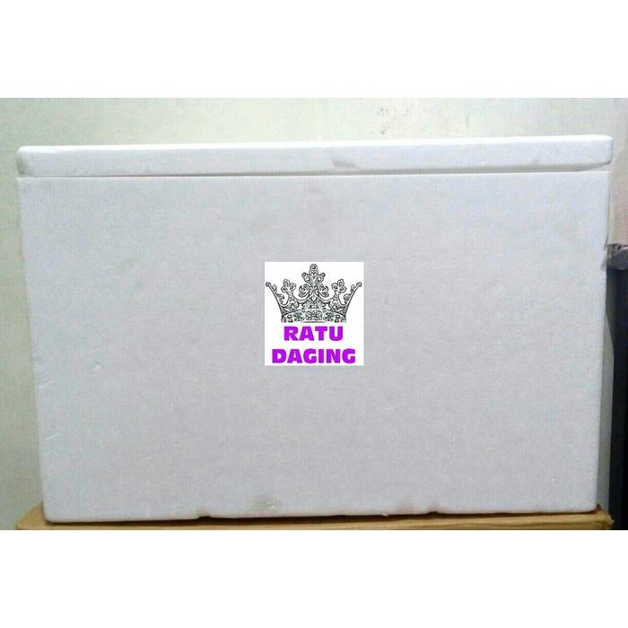 

3YC3 Sterrofoam Box Kecil - P=33.5 L=24.5 T=30.5 (3-4Kg)