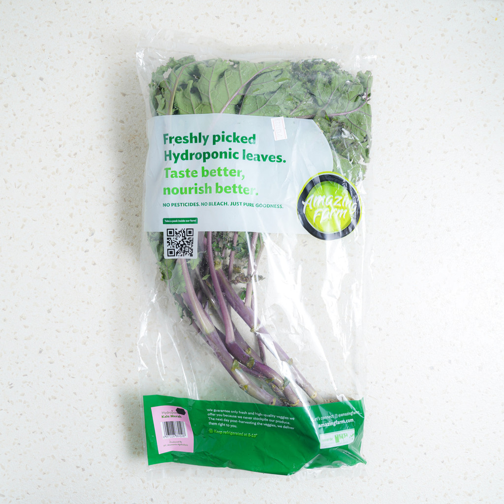 

Amazing Farm Red Curly Kale Hidroponik 1 pack