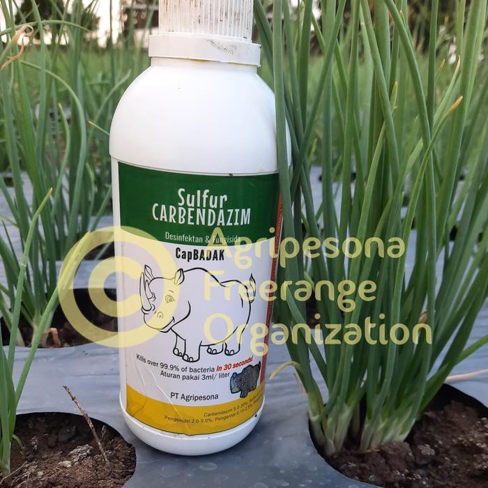 desinfektan CapBADAK