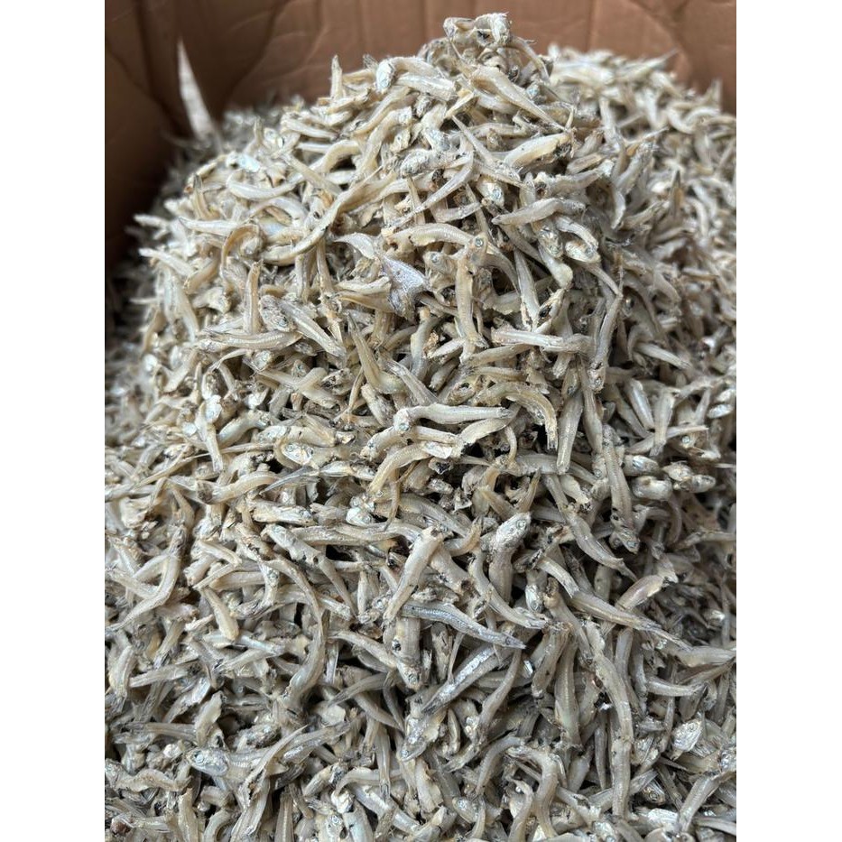 

IKAN TERI BUNTIAW KERING KHAS MEDAN - FOOD