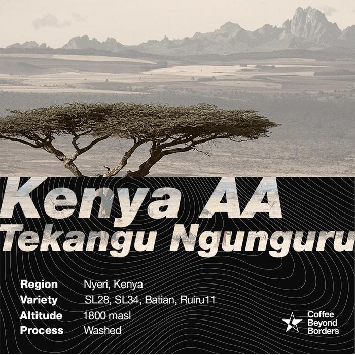 

Arabica Green Beans - Kenya AA Tekangu Ngunguru