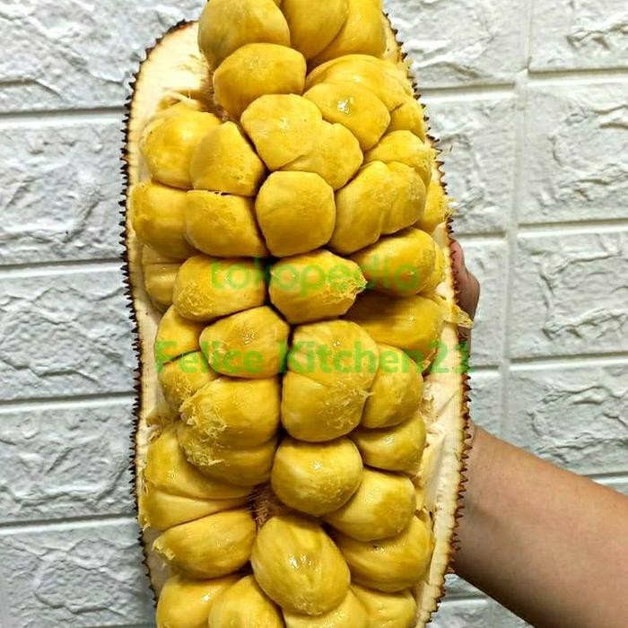 

ASLI Daging Buah Cempedak / Cempedak Frozen READY STOCK