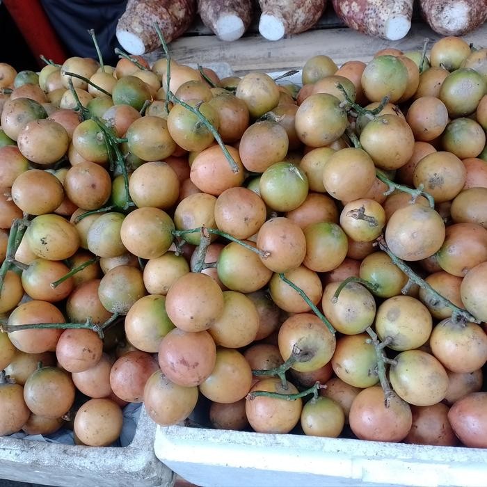 

ASLI Buah Menteng segar per1kg READY STOCK