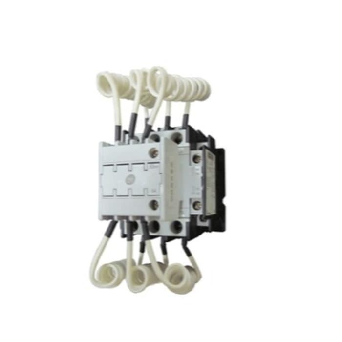 Contactor Capasitor Shihlin Sc-P33