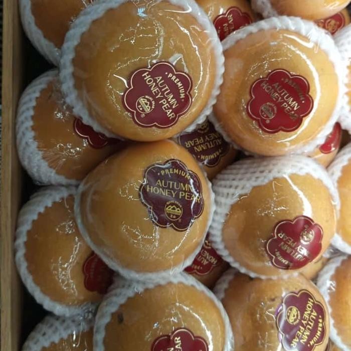 

TERMURAH Pear Autumn Honey Wangshan RRC 1 Kg READY STOCK