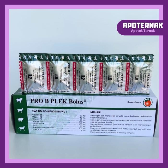 PRO B PLEK BOLUS 1 BOX (50 BOLUS) VITAMIN B KOMPLEK UNTUK HEWAN BESAR