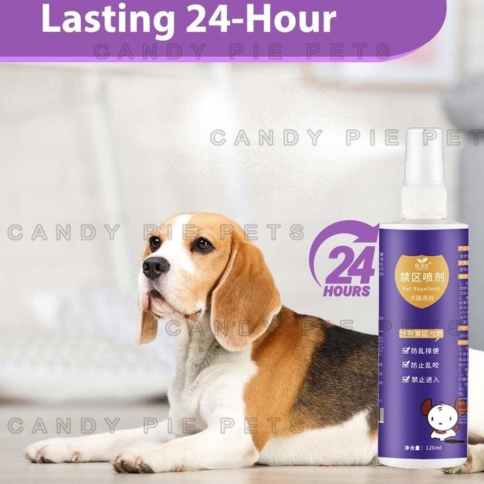 WOW SEMPROTAN KUCING ANTI PUP SEMBARANGAN SPRAY KUCING ANTI PIPIS CAT