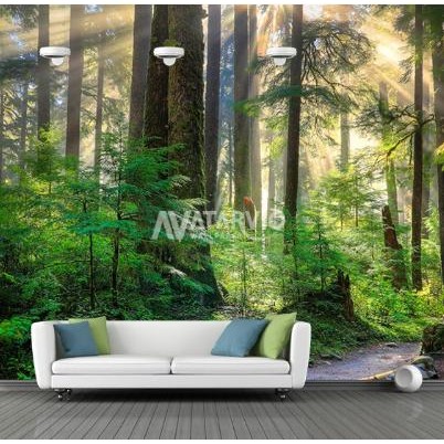 Terbaru Wallpaper 3D Pemandangan Alam Hutan