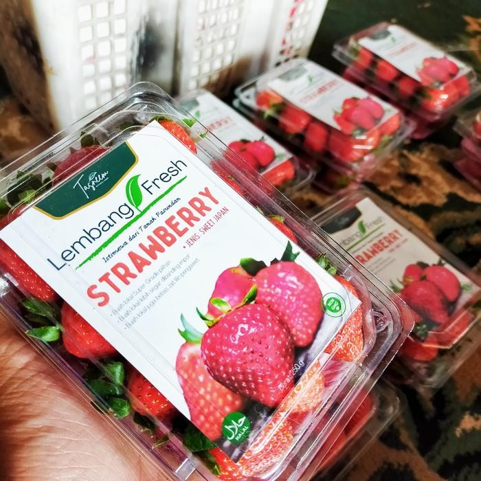 ID'' STRAWBERRY BUAH STROBERI LEMBANG FRESH SEGAR BANDUNG BIBIT SELAI BENIH