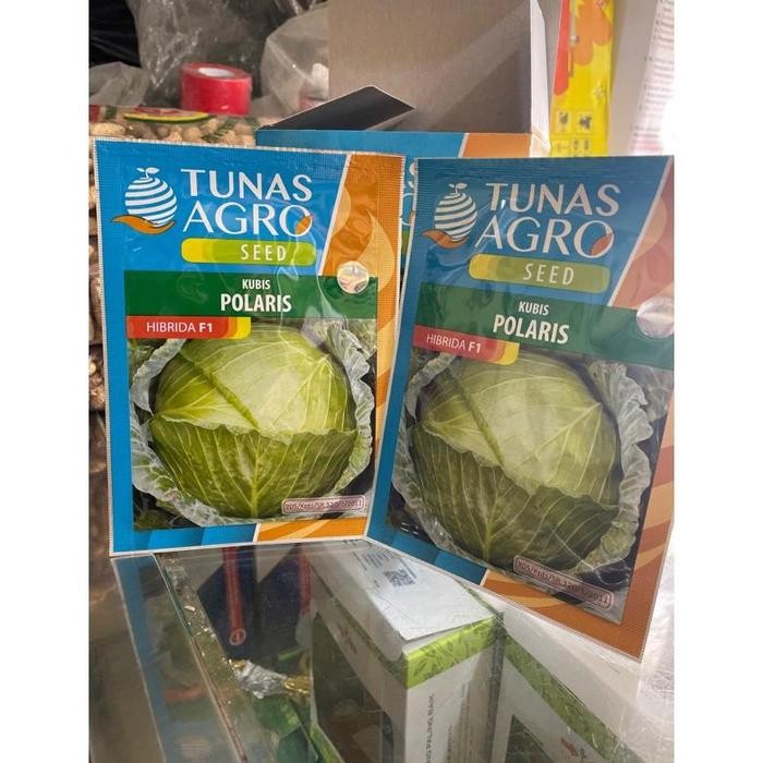 Benih Kubis POLARIS / Bibit Kol Polaris