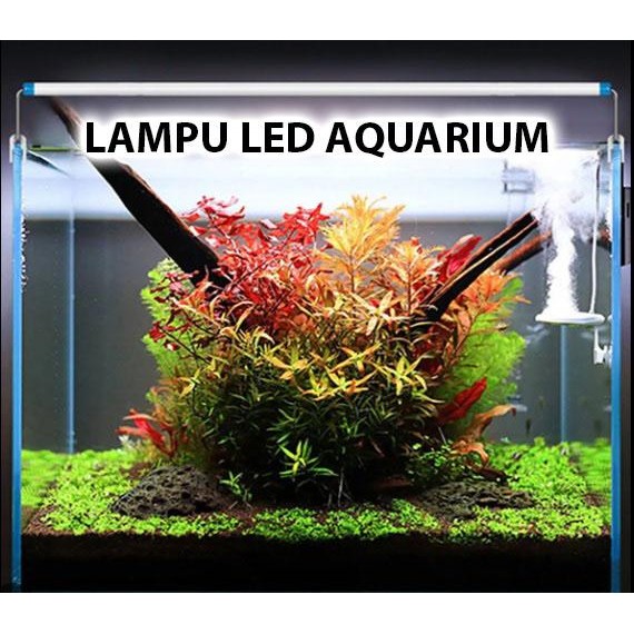 Lampu Led Aquarium Aquascape Kandila Vibrant Uva Uvb Wrgb