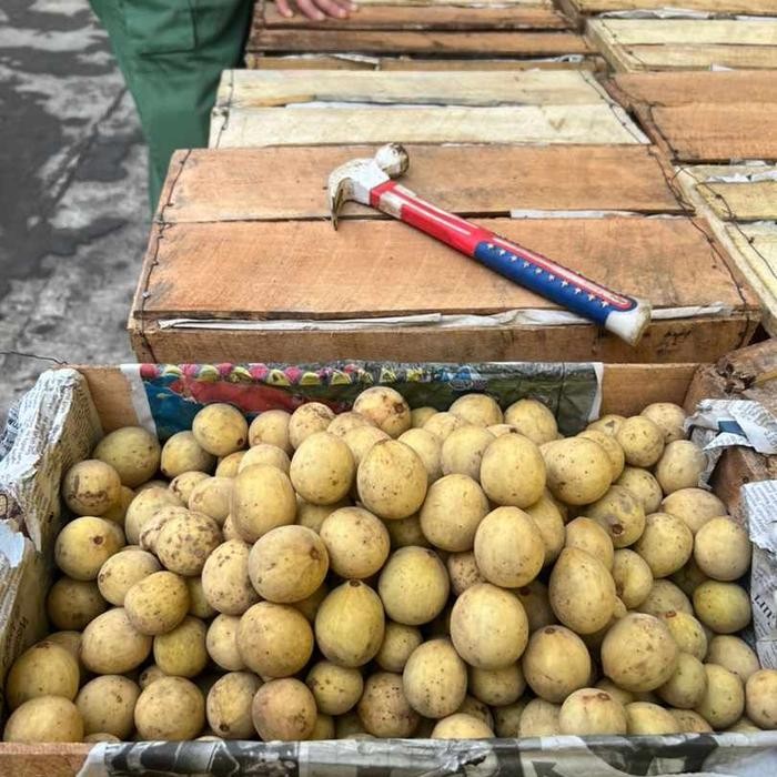 

ORIGINAL Buah Duku Palembang Manis 1Kg READY STOCK