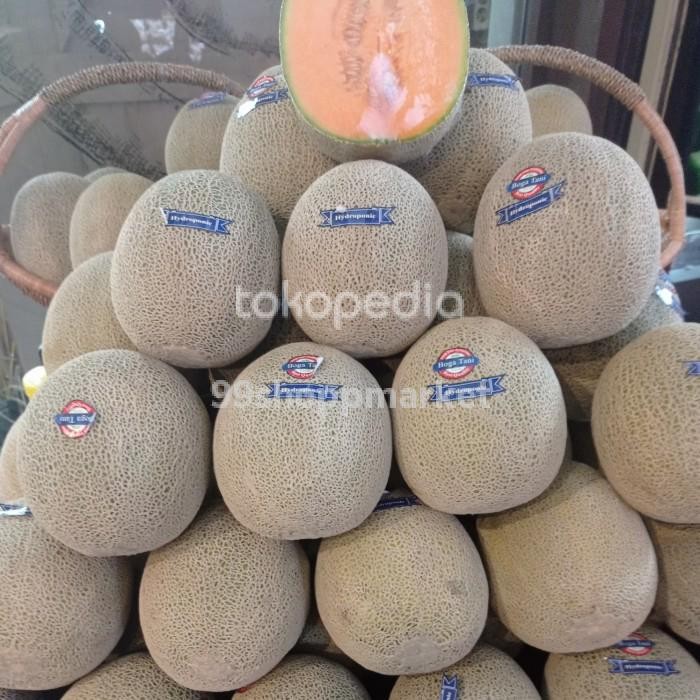 

TERMURAH Melon boga tani Red Hydroponik Manis lembut / pics READY STOCK