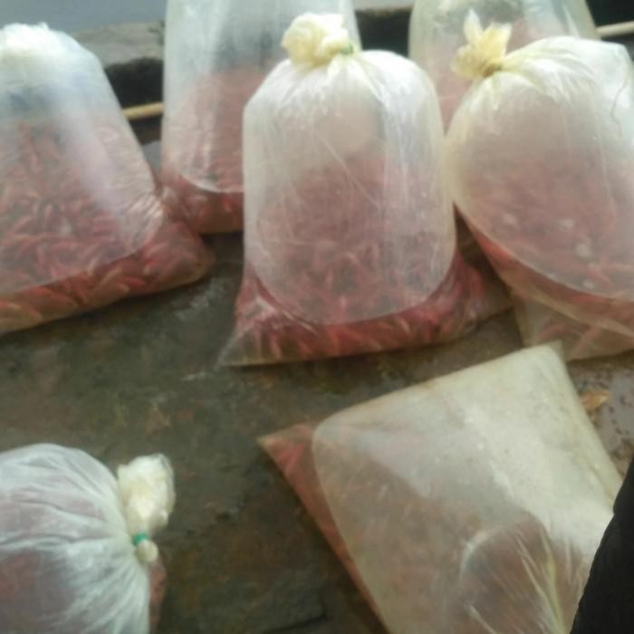 TERSEDIA IKAN NILA MERAH BANGKOK PER PAKET - IKAN KONSUMSI BERKUALITAS