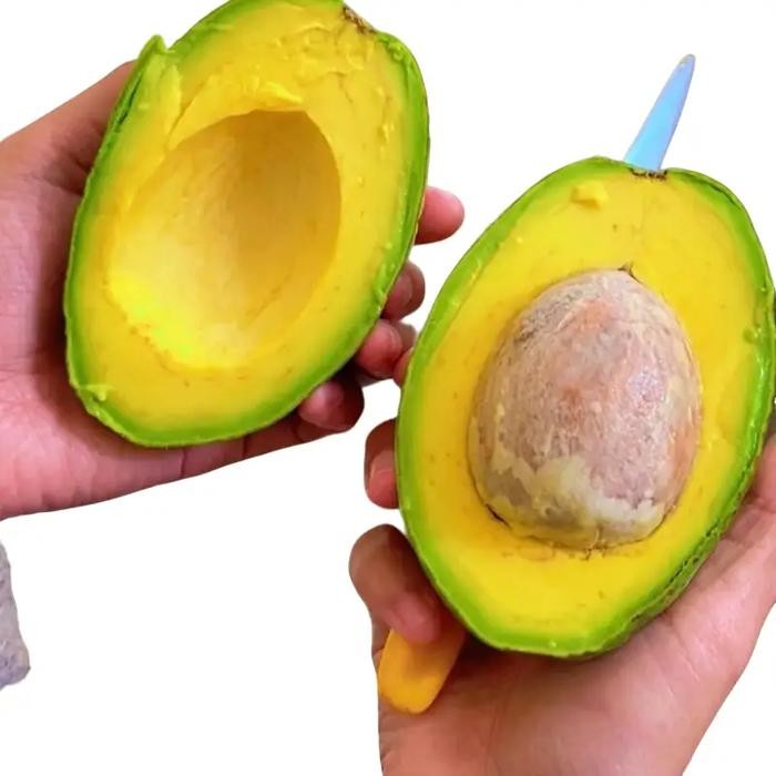 

SIAPKIRIM Alpukat Mentaga 1Kg Mini (kualitas premium, bergaransi, Organik) READY STOCK