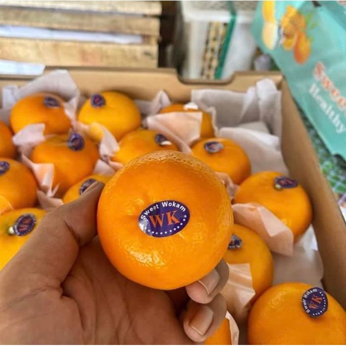 

TERLARIS Buah jeruk wokam wogam 1 kg READY STOCK