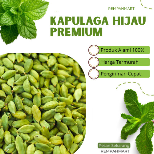 

50g Biji Kapulaga Hijau Arab India Green Cardamon Premium / Kapulaga Hijau Rempahmart