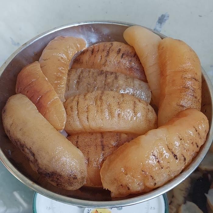 Haisom/Teripang Basah 500Gr Terlaris