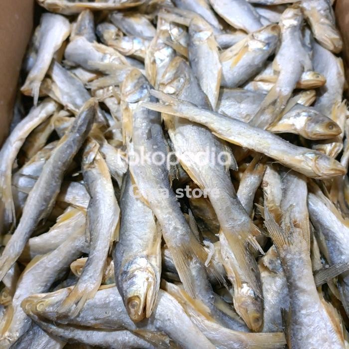 

Ikan Sinangin Medan 500Gr Best Quality Asli 100% Original