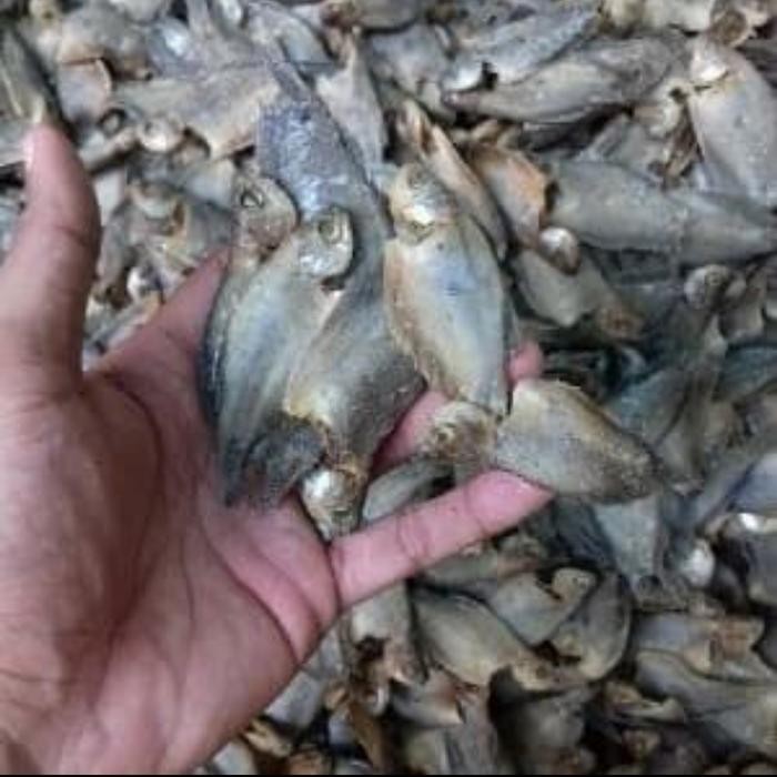 

Ikan Asin Sepat Kecil 1Kg Terlaris