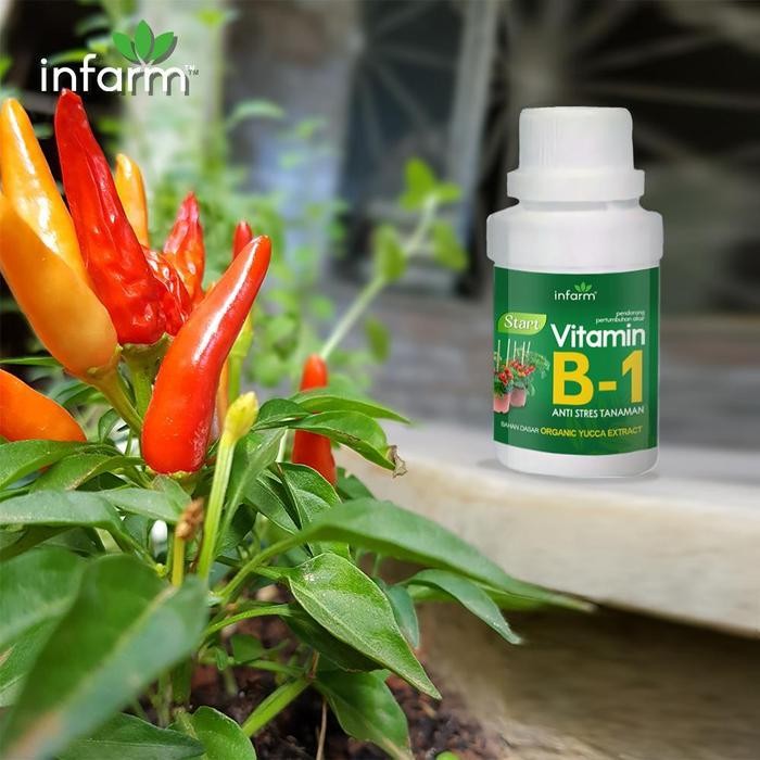 FLOWER INFARM - INFARM VITAMIN B1 NUTRISI TANAMAN 100 ML