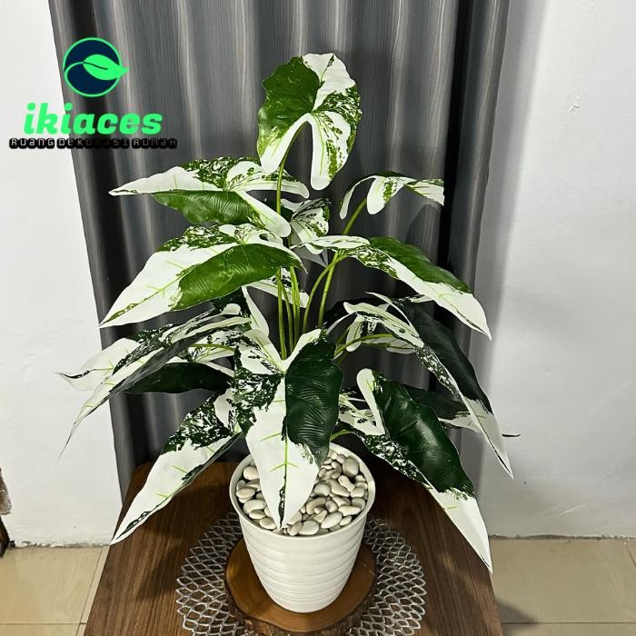 DAUN CALADIUM ARTIFISIAL DAUN KELADI JUMBO PLASTIK BUNGA HIAS SUDUT RUMAH DEKORASI BUNGA PLASTIK