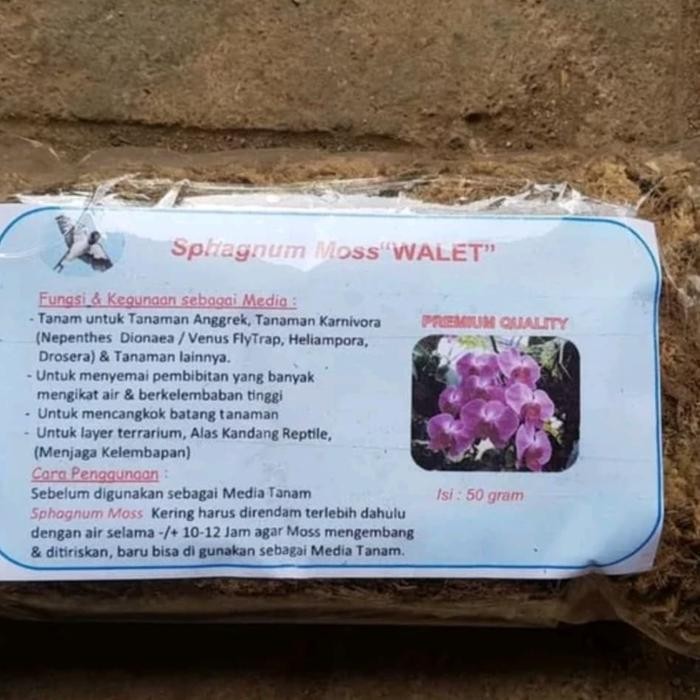 Media Tanaman Anggrek Sphagnum Moss "Wallet"